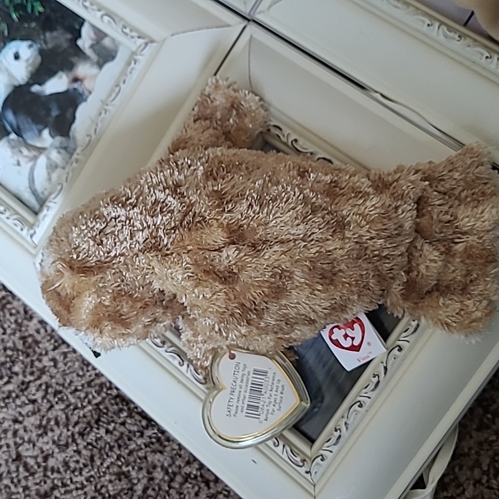 TY Beanie Baby Fins - Picture 5 of 6